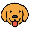 Bruno